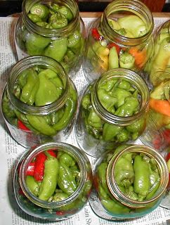 Walnut Spinney: Pickled pepperoncini peppers or hot banana peppers Canning Pepperoncini Peppers, Peppers Pickled, Pickled Pepper Recipe, Pickled Pepperoncini, Hot Banana, Cucumber Chips, Canning Peppers, Hot Banana Peppers, Pickled Banana Peppers