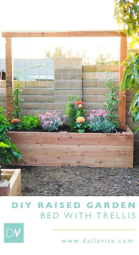 Planter Box With Trellis, Raised Planter Beds, Planter Beds, Diy Trellis, Wooden Planter, Diy Raised Garden, Raised Garden Beds Diy, Raised Planter, Garden Boxes