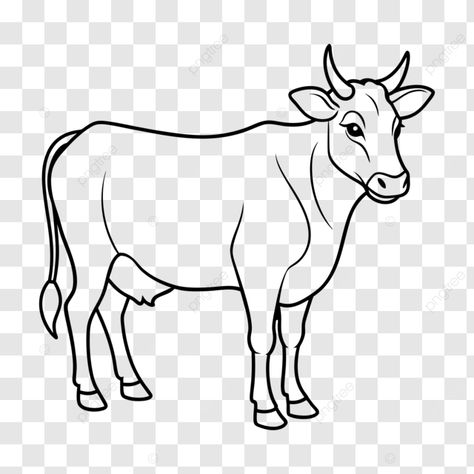 cow coloring line art for children vector cow coloring cow coloring book pages cow vector png Pongal Cow Drawing, Cow Pencil Drawings, Cow Drawing Simple, Cows Drawing, Animals Line Art, Cow Drawing Easy, Cow Drawings, Cow Sketch, Deer Coloring Pages