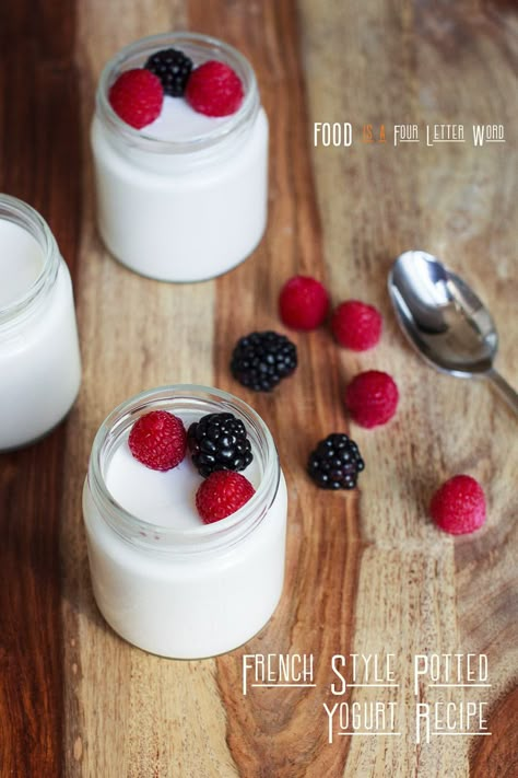 Oui Vanilla French Yogurt Copycat Recipe – FOOD is Four Letter Word French Yogurt Recipe, Parfait Yogurt, Yogurt Biscuits, Pancakes Yogurt, Chicken Yogurt, Smoothies Yogurt, Yogurt Ideas, French Yogurt, Instant Pot Yogurt