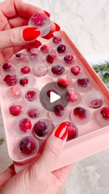 Katie | Sober𝘪𝘴𝘩 Mom on Instagram: "Holiday ice cube tutorial! This is the simplest holiday hosting hack. I love to have these fancy ice cubes made ahead of time and waiting in my freezer - they’re great to whip out for entertaining or if an unexpected guests pops by this holiday season. 𝐃𝐈𝐘 𝐇𝐨𝐥𝐢𝐝𝐚𝐲 𝐈𝐜𝐞 𝐂𝐮𝐛𝐞𝐬: All of these trays are linked in my Amazon storefront. • Cranberry Spheres • Pomegranate Rosemary Cubes • Polar Bear Cubes • Orange Roses (posted to my feed 11/6/23) Happy holidays! #diyholiday #holidayhosting #holidays2023" Pomegranate Ice Cubes, Thanksgiving Ice Cubes, Holiday Ice Cubes, Christmas Ice Cubes, Wine Ice Cubes, Fancy Ice Cubes, Wine App, Hosting Hacks, Fancy Ice