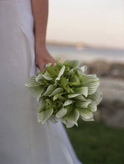 Cute Trumpet Vase Centerpiece, Unique Bridal Bouquets, Green Wedding Bouquet, Dresses Photography, Green Wedding Inspiration, Green Bouquet, Ikebana Flower Arrangement, Wedding Photo Gallery, Cape Cod Wedding