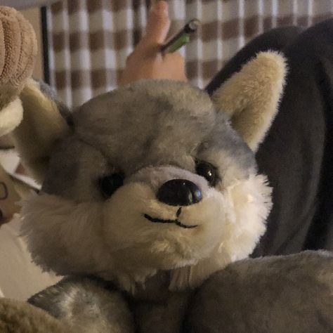 Wolf Plushie Aesthetic, Dog Plushie Aesthetic, Wolf Regressor, Matching Teddy Bears, Dogboy Aesthetic, Wolf Plushie, Pet Regression, Wolf Plush, Patchwork Heart