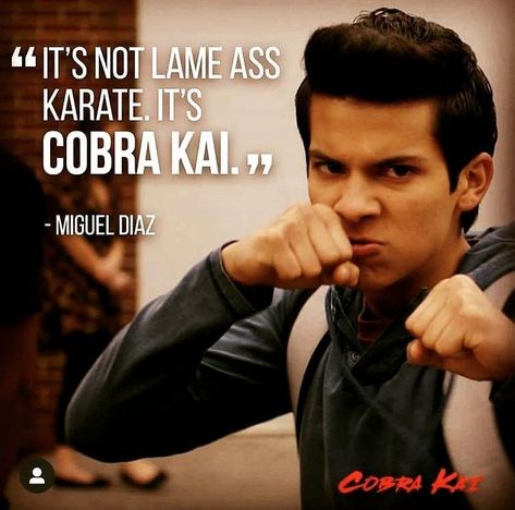 Cobra Kai Quotes, Cobra Kai Miguel, Taekwondo Quotes, Billy Zabka, Xolo Mariduena, The Karate Kid 1984, Karate Kid Movie, Xolo Maridueña, Miguel Diaz