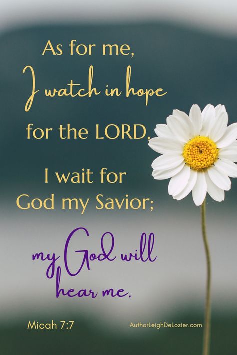 No matter how dark or hopeless things might seem, God is there -- He sees and hears us. As for me, I watch in hope for the LORD, I wait for God my Savior; my God will hear me (Micah 7:7) #Bibleverse #hope #hopefulness #Godishope #Godseesus #devotional #Christianity #Christianpost Hope In The Lord Scriptures, Hope In The Lord Quotes, My Hope Is In You Lord, Micah 7:7 Scriptures, Flower Bible Verse, Micah 7 7, Lord Quote, Rely On God, October Quotes