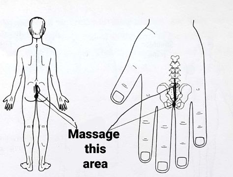 Whether you have back pain due to sitting for a long time, whether it is during period or you have any other problem- "Massage the area shown in image for 5min and immediately you will feel relief". #sujok #sujoktherapy #balendrajaiswal #backache #backpain #lowerbackpain During Period, Full Body Massage Techniques, Ear Reflexology, Pressure Point Therapy, Body Massage Techniques, Acupressure Therapy, Massage Therapy Techniques, Reflexology Chart, Acupressure Massage