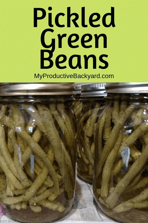 Pickled Green Bean Recipes, Pickled Green Beans, Dilly Beans, Canning Peaches, Canning Vegetables, Turnips, Pickled Veggies, Pickled Vegetables, Fresh Green Beans