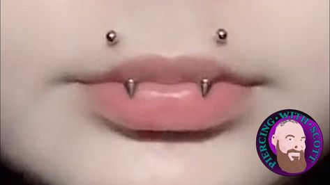 Angel Fangs Piercing, Fangs Piercing, Angel Fangs, Nose Piercing Ideas, Angel Bites Piercing, Angel Bites, Mouth Piercings, Cool Ear Piercings, Face Piercings