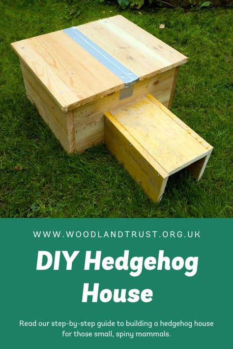 Hedgehog Home Diy, Hedgehog House Diy, How To Make A Hedgehog House, Hedgehog House Diy How To Make, Hedgehog House Plans, Chipmunk House, Diy Hedgehog House, Diy Hedgehog, Hedgehog Home