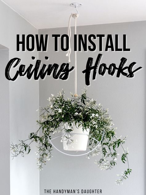 Ceiling Hooks For Plants, How To Hang Plants From Ceiling, Plants From Ceiling, Hang Plants From Ceiling, Pathos Plant, Hooks For Hanging Plants, Hanging Plant Hooks, Plant Hooks, Ceiling Hooks