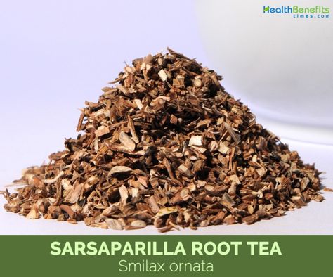 Sasparilla Root Tea Benefits, Sasparilla Root Benefits, Burdock Root Benefits, Burdock Root Tea, Medicinal Tea, Healing Tea, Tea Quotes, Tea Health Benefits, Holistic Care