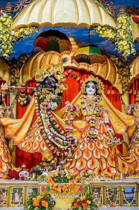 Iskcon Mayapur, Vrindavan Dham, Iskcon Vrindavan, Shree Radhe, Radha Krishna Quotes, Hindu Dharma, Krishna Book, Good Morning Image Quotes, Jai Shree Krishna