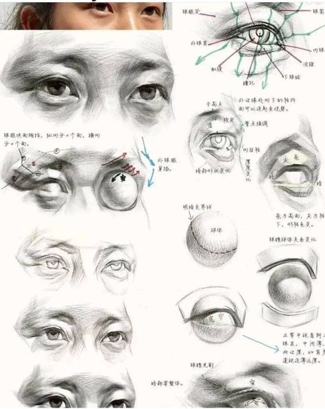 #linguaarte - Abirlal Mukherjee Eye Anatomy Drawing, Head Anatomy Drawing Study, Eyes Anatomy, Portrait Drawing Tips, Eye Study, Eye Anatomy, 얼굴 드로잉, Eye Drawing Tutorials, Human Anatomy Drawing