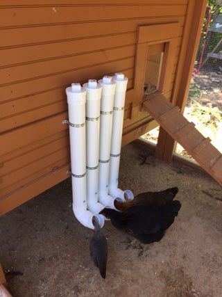 Auto Chicken Feeder, Peacock Habitat, Easy Diy Chicken Feeder, Pvc Chicken Feeder, Chicken Tunnels, Chicken Feeder Diy, Homestead Animals, Modern Homestead, Types Of Chickens