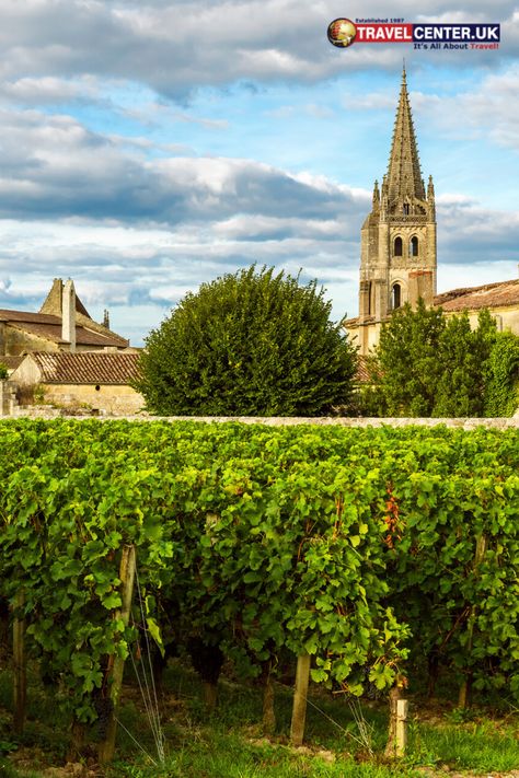 Sunny landscapes of Bordeaux vineyards in France Bordeaux Vineyards, French Wine Regions, St Emilion, Holiday Promotions, Cheap Holiday, Neoclassical Architecture, French Countryside, European Destinations, Natural Scenery