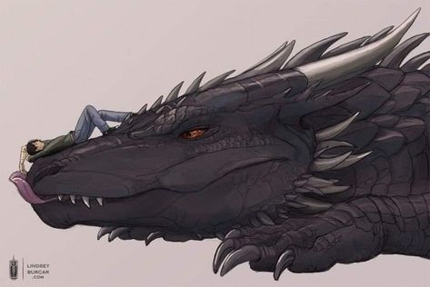 Hotd Dragons Art, Grey Ghost Dragon, Dragon With Fur, Black Wyvern, Dragon And Human, Blue Dragon Art, Black Dragon Art, Wyvern Art, Dragon People