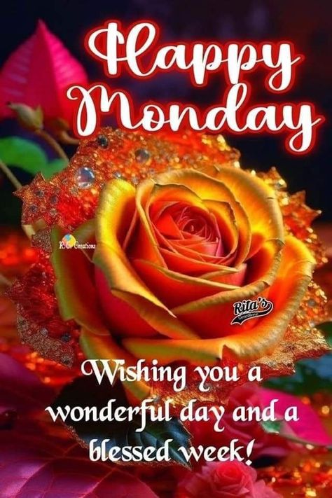 Happy Monday Images, Friday Morning Quotes, Happy Monday Morning, Good Afternoon Quotes, Good Morning Wednesday, Good Morning Happy Monday, Daily Greetings, Happy Birthday Greetings Friends, Good Morning Sunshine Quotes