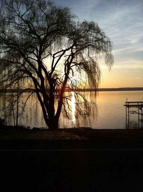 Cayuga Lake Keuka Lake Ny, The Lake House Canandaigua, Lake Ouachita, Barracuda Lake, Cayuga Lake, Ithaca Ny, Finger Lakes, Lake Cottage, House Smells