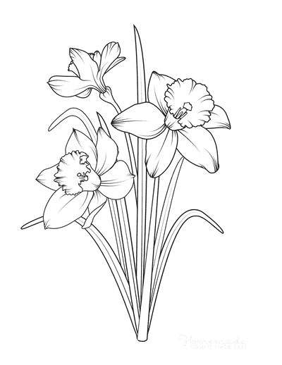 Spring Coloring Pages Daffodils Frühling Wallpaper, Daffodil Tattoo, Flower Tattoo Drawings, Narcissus Flower, Flower Line Drawings, Flower Drawing Tutorials, Spring Coloring Pages, Birth Flower Tattoos, Flower Art Drawing