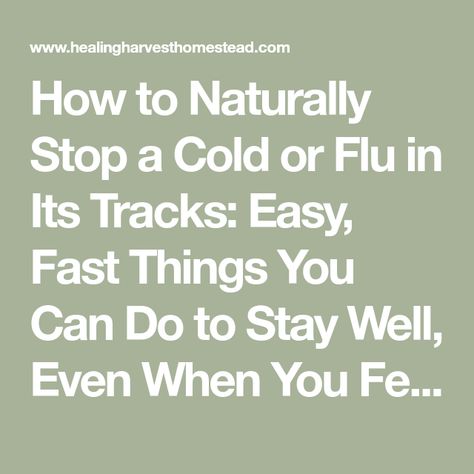 Feeling A Cold Coming On, When You Feel A Cold Coming On, Stop A Cold In Its Tracks, How To Stop A Cold In Its Tracks, Head Cold Remedies, Stop A Cold, Get Over A Cold, Head Cold, Improve Energy Levels