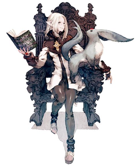 Arcanist - Final Fantasy XIV A Realm Reborn Realm Reborn, Final Fantasy Artwork, Concept Art World, Final Fantasy Art, Concept Art Character, Final Fantasy Xiv, Fantasy Concept Art, Hayao Miyazaki, Fantasy Inspiration