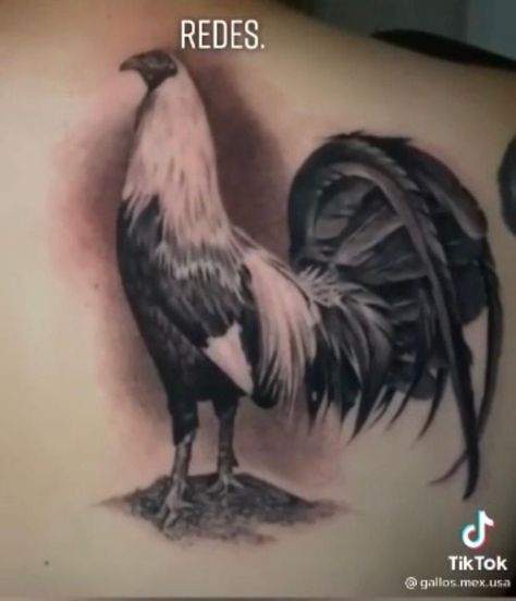 Pin en Tatuajes Tattoo Rooster, Angel Warrior Tattoo, Chicken Tattoo, Rooster Tattoo, Art Chicano, Horror Movie Tattoos, Bruce Lee Art, Native American Tattoos, Movie Tattoos