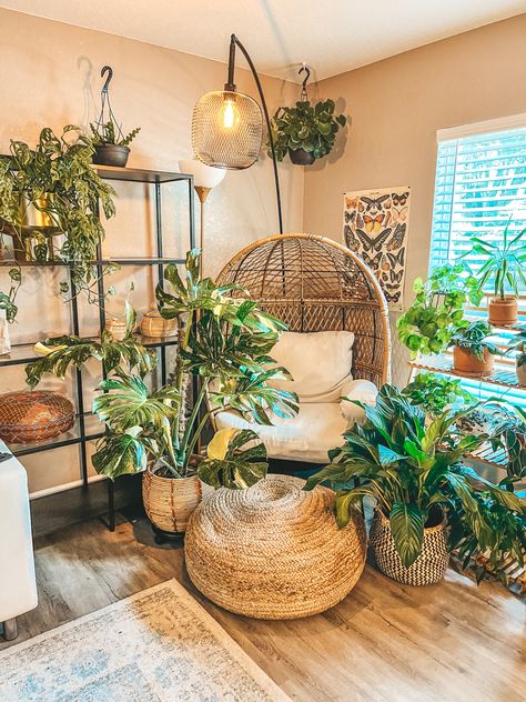 Plants, decor, boho, interior decorating, indoor plants, egg chair Indoor Jungle Room House Plants, Plant Corner With Chair, Plant Corner Ideas Bedroom, Library And Plant Room, Corner Plants Living Room, Plants Corner Bedroom, Plant Zen Room, Eclectic Reading Corner, Reading Corner With Plants