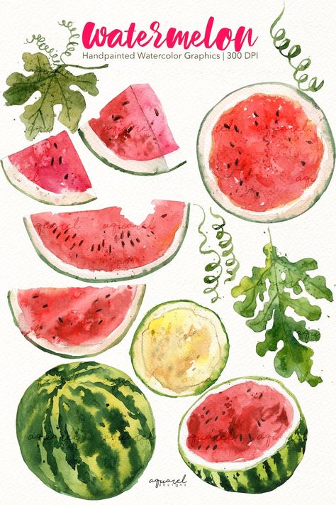 Watermelon Drawing Aesthetic, Tropical Fruit Painting, Summer Fruits Drawing, Watermelon Reference, Watercolor Fruit Paintings, Watermelon Sketch, Summer Watercolor Paintings, Fruits Artwork, Watermelon Aesthetic