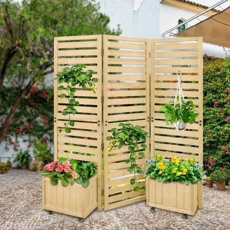 Backyard privacy screen