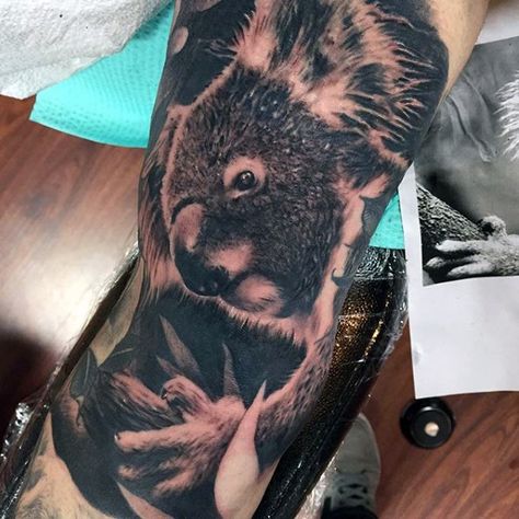 Mens Realistic 3d Koala Half Sleeve Tattoo Designs Koala Bear Tattoo, Koala Bear Drawing, Cake Koala, Koala Wallpaper, Koala Bear Baby, Koala Tattoo, Koala Craft, Tattoo Animals, Koala Drawing