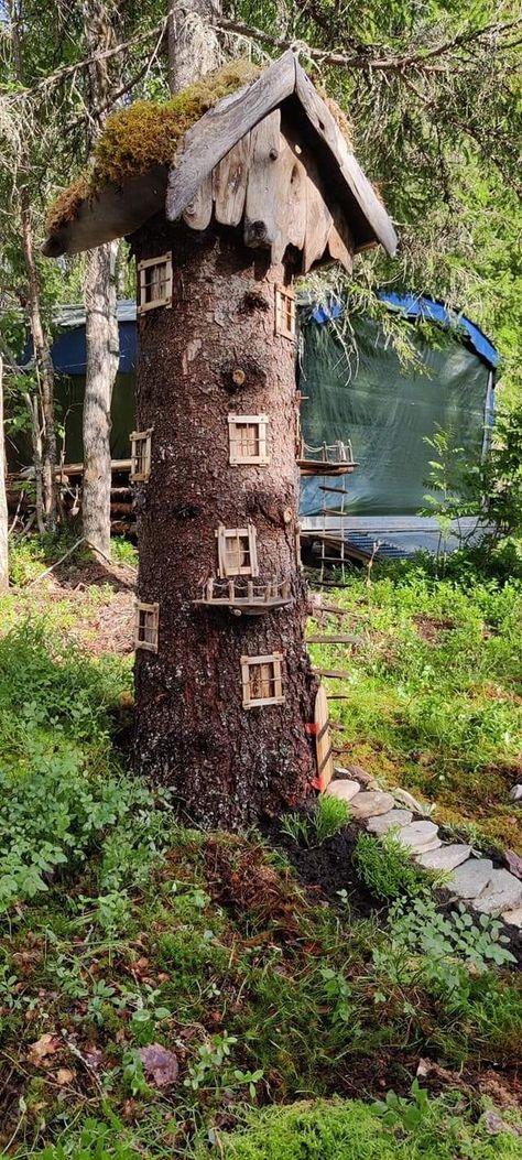 Hobbit House Tree Stump, Gnome Homes Stump, Gnome House Tree Stump Fairy Homes, Knome Villages Tree Stump, Carved Tree Stump Fairy House, Fairy Tree Houses, Tree Stumps, Fairy Tree, Tree Carving