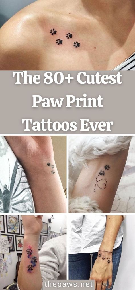 We've collected some of the most beautiful paw print tattoos ever to help you decide which is the best to decorate on your body. Paw Print Ankle Tattoos For Women, 3 Cat Paw Print Tattoo, Cute Dog Paw Tattoos, Doggie Paw Tattoo, Cute Dog Print Tattoo, Cat Paw Print Tattoo On Wrist, Dog Print Memorial, Dog Paw Prints Tatoos, Four Paw Print Tattoo