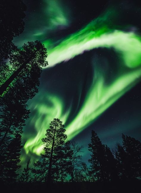 Aurora Storm in Ivalo Lapland Finland 27.09.2019 | Aurora Village, Ivalo Lapland Finland Northern Lights Finland, Northern Lights Norway, Polar Night, Lapland Finland, Northern Lights (aurora Borealis), Aurora Borealis Northern Lights, See The Northern Lights, Light Pollution, Places To See