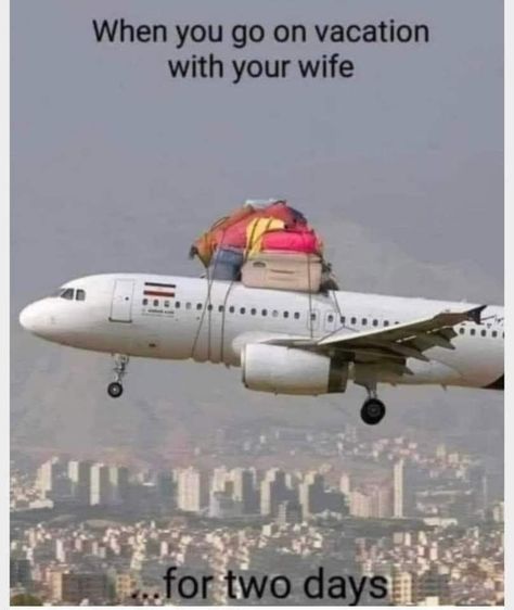 Airplane Jokes, Funny Animal Images, Laughter Therapy, Humor Inappropriate, Good Morning Beautiful Quotes, Funny Images Laughter, Memes Sarcastic, Funny Jokes For Adults, Google Lens