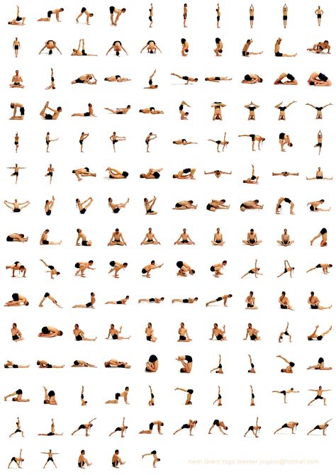 take a pose Yoga Workout Plan, Yoga Poses Chart, Hata Yoga, Yoga Sequence For Beginners, Yoga Poses For Back, Basic Yoga Poses, Simple Yoga, Yoga Beginners, Trening Fitness