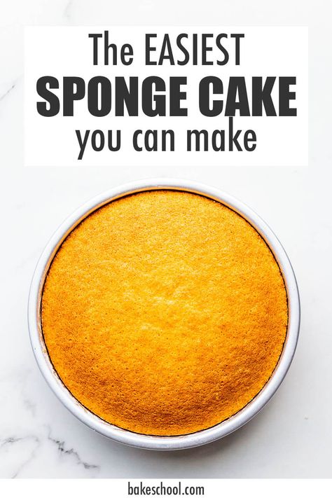 Basic Sponge Cake Recipe How To Make, Easy Sponge Cake Recipe Vanilla, Quick Sponge Cake Recipe, Sponge Cakes Easy, Easy Sponge Cake Recipe Simple, How To Make Sponge Cake, Easiest Cake Recipes, Easy Cake Recipes Simple, Recipe For Sponge Cake