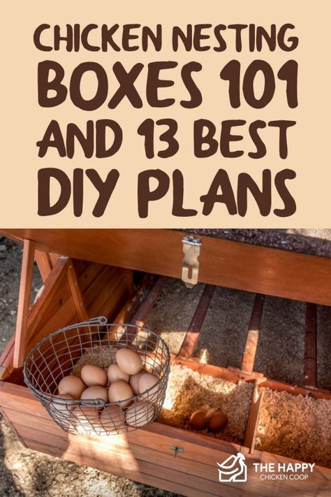 Chicken Nesting Boxes 101 and 13 Best DIY Plans - Chicken Laying Boxes, Nesting Boxes Diy, Chicken Coop Designs Diy, Chicken Boxes, Best Diy Projects, Chicken Poop, Chicken Nesting Boxes, Backyard Chicken Coop Plans, Diy Chicken Coop Plans