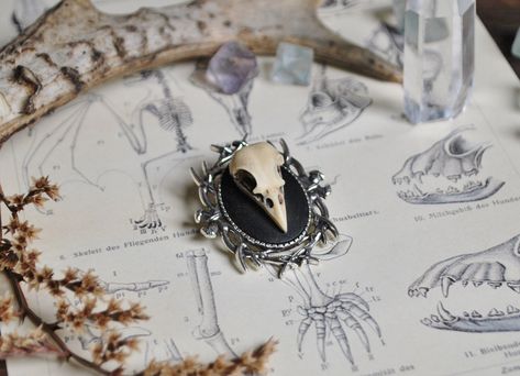 raven skull brooch , bird skull cameo, gothic brooch, faux taxidermy, oddities, deer antlers , gothic victorian jewelry, silver, anatomical by Thebatinthehat on Etsy https://www.etsy.com/listing/554036788/raven-skull-brooch-bird-skull-cameo Gothic Victorian Jewelry, Gothic Brooch, Skull Brooch, Bird Skull Jewelry, Skull Cameo, Victorian Gothic Jewelry, Skull Pin, Raven Skull, Gothic Victorian