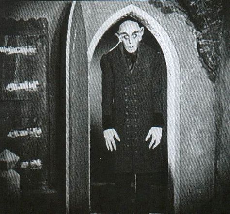 Count Orlok (Nosferatu) Nosferatu The Vampyre, Nosferatu 1922, Max Schreck, Darkness Falls, Art Noir, Universal Monsters, Vintage Horror, Movie Monsters, Classic Horror