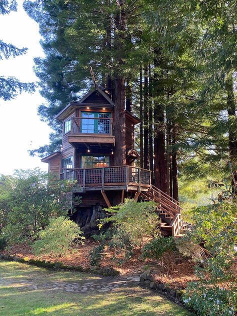 Treehouse Master! - Treehouses for Rent in Trinidad, California, United States - Airbnb Trinidad California, Jungle Tree House Aesthetic, Rock Walkway, Treehouse Cabins To Rent, Treehouse Airbnb, Treehouse Masters Pete Nelson Tree Houses, Hot Tub Patio, Treehouse Masters, A Frame Cabin