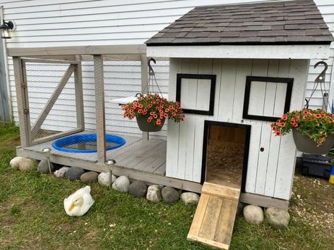 Pet Ducks Outdoor, Duck Habitat, Duck Coop Ideas, Duck Enclosure, Duck House Plans, Duck Pens, Backyard Ducks, Chicken Coop Garden, Duck Coop