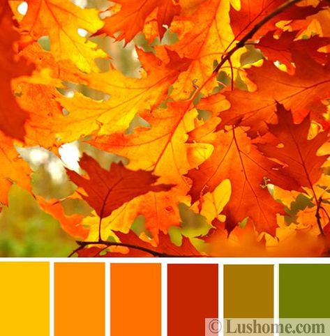 Interior Design Inspirations, Fall Color Schemes Inspired by Natural Hues September Color Palette, Autmn Colors, Fall Color Pallet, Halloween Color Palette, Popular Color Schemes, Interior Design Color Schemes, Traditional Color Palette, Fall Color Schemes, Thanksgiving Color