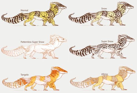 dragon gecko Dragon Reference, Mythical Art, Cute Gecko, Baby Piglets, Cute Lizard, Leopard Geckos, Concept Sketches, Cute Reptiles, Creature Artwork