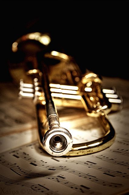 *Trumpet Trumpet Wallpaper Iphone, Trumpet Aesthetic Wallpaper, Trumpet Pictures, Trumpet Wallpaper, Trumpet Aesthetic, Trumpet Painting, Iphone Wallpaper Bright, Trumpet Instrument, Jazz Trumpet