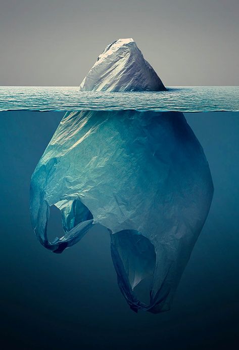 Multiple Discovery is Not Plagiarism, But a Reflection of How Connected We Secretly Are Environmental Posters, Animal Body Parts, Ocean Pollution, Graphisches Design, La Pollution, Publicidad Creativa, Environmental Pollution, Creative Ads, Jena