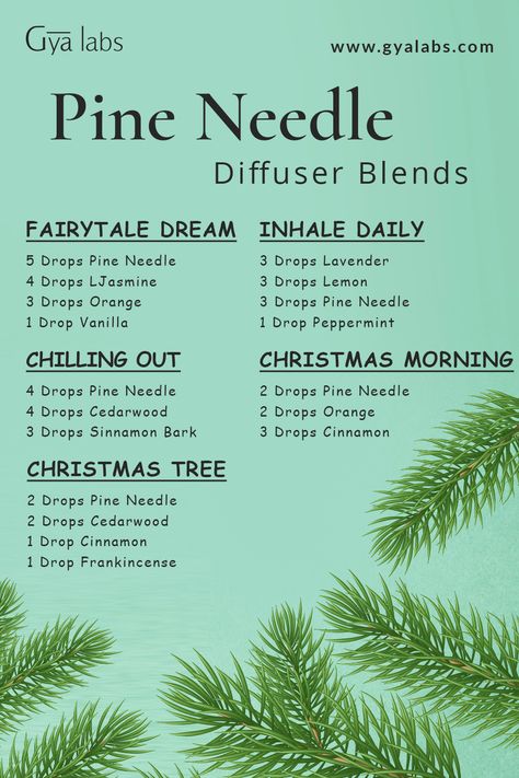 A bottle of Pine Needle Essential Oil Blend with pine cones and needles in the background. Pine Oil Blends, Pine Oil Diffuser Blends, Pine Needle Diffuser Blends, Pine Essential Oil Benefits, Woodsy Essential Oil Blend, Pine Diffuser Blend, Fir Needle Diffuser Blend, Pine Essential Oil Blends, Pine Needle Oil