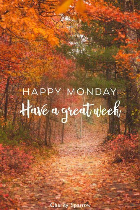 Monday Greetings, Happy Monday Quotes, Happy Monday Morning, Good Monday Morning, Blessed Week, Good Morning Happy Monday, Good Morning Funny Pictures, Monday Blessings, Morning Quotes Images