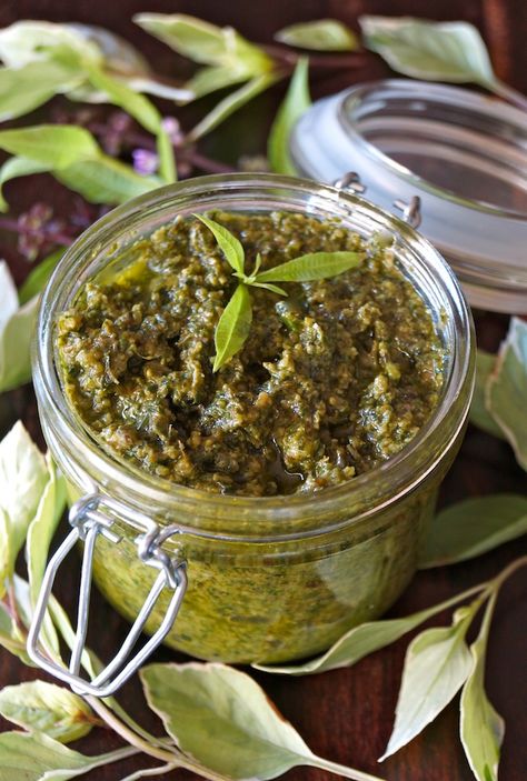 Basil-Lemon Verbena Pesto Recipe -- This pesto is made with basil and lemon verbena, and it's absolutely packed with fresh, intense, delicious flavors. It's rich, smooth and its lovely fragrance unbelievably divine! Lemon Verbena Recipes, Herb Recipes, Toasted Pine Nuts, Spread Recipes, Lemon Verbena, Pesto Recipe, Garden Recipes, Lemon Recipes, Tortellini