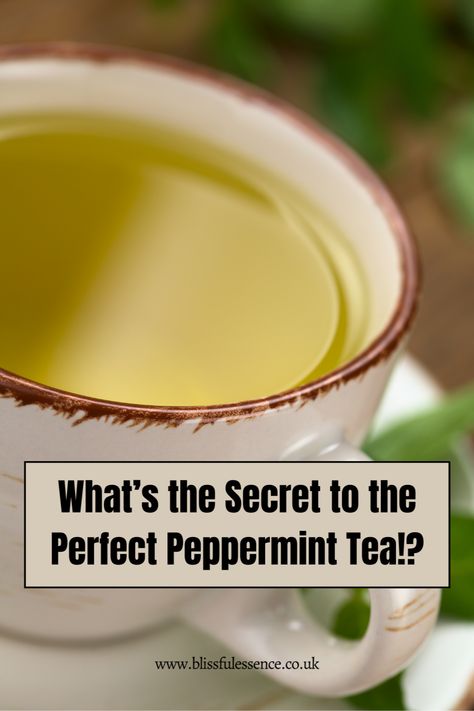 Guys, I just stumbled upon this amazing blog post about mastering the PERFECT cup of peppermint tea – and I had to share it with you! It's packed with useful tips and tricks for maximum flavour, and it has made all the difference to my tea-drinking experience. From choosing the best leaves to brewing time secrets, this guide covers it all. Save this pin and try it next time you're craving some peppermint goodness! Your tastebuds will thank you. #PeppermintTea #Tea Peppermint Tea Recipe, Peppermint Tea, Peppermint Leaves, Tea Tasting, Fresh Mint Leaves, Ginger Tea, Herbal Blends, Flavored Tea, Useful Tips