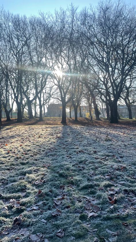 #frost #frosty #frosted #park #walkinthepark #christmastree #tree #trees #leaves #fallingleaves #winter #winterwonderland #winteractivitiesforkids #wintermode #winteraesthetic #wintery #wintertime #december #decemberaesthetic #decemberdaily #december2022 #christmas #christmasdecor #christmassy #christmasideas #festive #festiveseason #festivevibes #holiday #holidays #holidayseason #seasonal #morning #morningvibes #morningroutine #sun #sunrise #sunrays #morningmotivation #morningwalk #wintermornin Frosty Morning Aesthetic, Mood 2024, Frosty Morning, Holiday Aesthetic, Winter Activities For Kids, The Darkling, Winter Mood, Evening Walk, That One Person